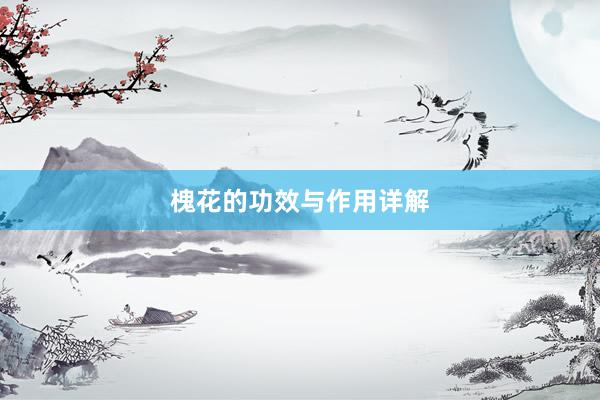 槐花的功效与作用详解