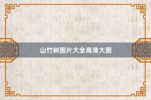 山竹树图片大全高清大图
