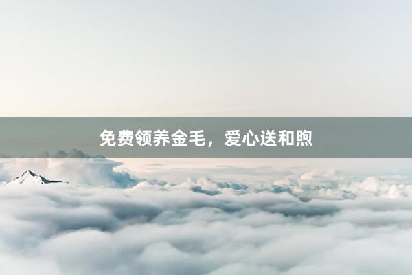 免费领养金毛，爱心送和煦