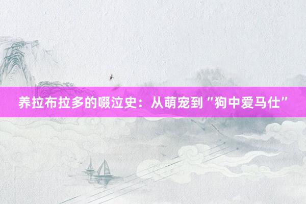 养拉布拉多的啜泣史：从萌宠到“狗中爱马仕”