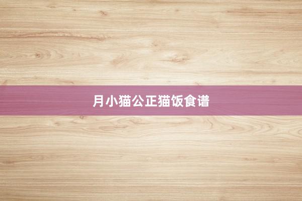月小猫公正猫饭食谱