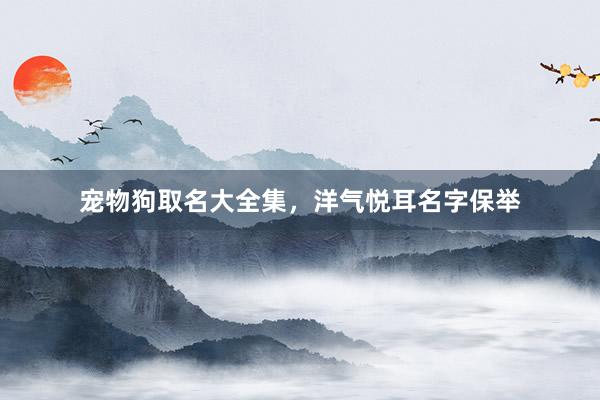 宠物狗取名大全集,洋气悦耳名字保举